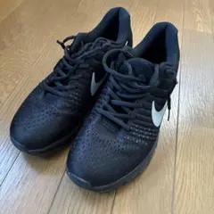 Item thumbnail for item 1b23c279-a644-4ccb-a393-2f7d2e8f48bb