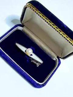 Item thumbnail for item 8363c08a-bef8-4814-85bb-d62665407394