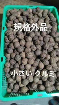 小さな鬼クルミ殻付き　750㌘　(10)のサムネイル