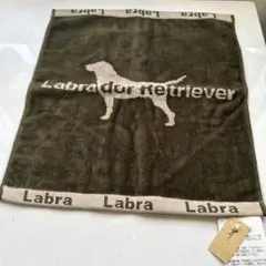 Item thumbnail for item 4c81d433-03d4-475c-9fd5-e28059b856a8