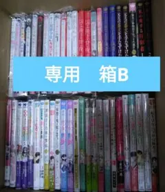 Asami Matsuo 様 専用 箱26B