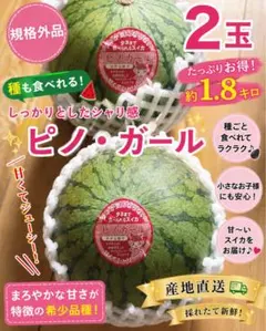 鳥取大栄小玉西瓜ピノガール 秀品2L1玉 2キロあっぷ - メルカリ