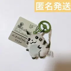 ポケモンセンター　はじまりのピカチュウ　マスコット