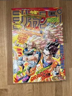 希少 週刊少年ジャンプ1993年44号 DRAGON BALL 表紙 - メルカリ