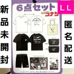 【6点セット】名探偵コナン コナン×灰原 ハッピーバッグ しまむら アクスタ