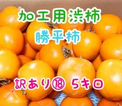 干し柿用　渋柿　勝平柿　訳あり⑱ 5キロ