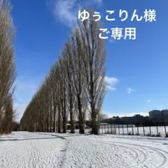 ゆぅこりん様ご専用　バッグ　ハンドメイド キャスキッドソン