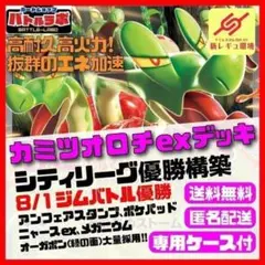 8/1ジムバトル優勝 カミツオロチexデッキ シティリーグ優勝構築済