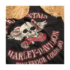 ★Y608 80s ヴィンテージ ハーレースカルウイング  タンクトップ★