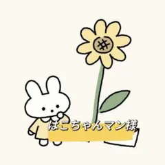 はこちゃんマン様 リクエスト 2点 まとめ商品