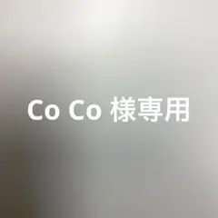 Co Co 様専用　新人間革命22巻