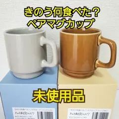 ドラマ きのう何食べた？ マグカップ&お皿 4点セット 2026年最新】きのう何食べた? マグカップの人気アイテム - メルカリ