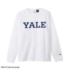 Champion　YALE