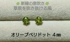 パンナコッタ✴︎様 リクエスト 5点 まとめ商品