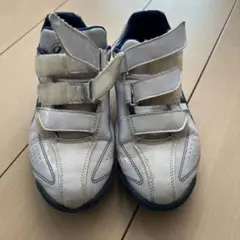 Item thumbnail for item 757eab84-5238-4957-9224-b449f89a7642