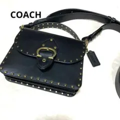 日曜日限定超大特価‼️COACH タビーショルダーバッグ 花柄刺繍