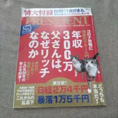 Item thumbnail for item 548f54d3-bf90-4974-bcdc-81a6791449e3