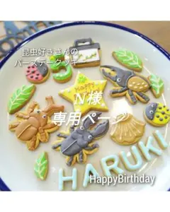 N様専用ページ 郵送指定期間あり