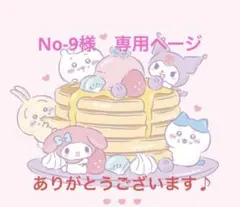 No-9様　専用ページ