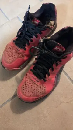 Item thumbnail for item 93511411-4182-41b1-b234-f6d4eaeb18a2