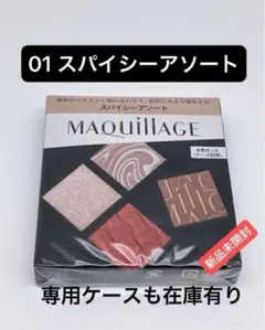 カスタマイズアイカラー アソート （01 スパイシーアソート）