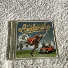 Sufjan Stevens the Avalanche
