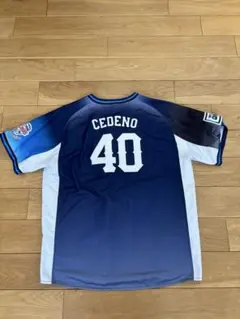 埼玉西武ライオンズ　セデーニョ　ビジターユニフォーム