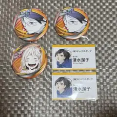 ハイキュー ファンパーク コレクション缶バッジ 名刺 清水潔子 谷地仁花 烏野