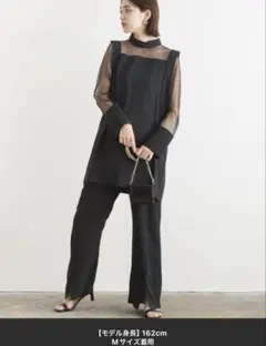 シースルーチュニックブラウス＋センターピンタックパンツ 上下2点セット