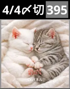 新柄♥️期間限定レアパネル生地 猫パネル生地 6柄セット CK