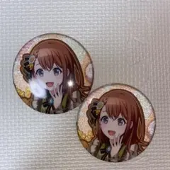 プロセカ 花里みのり バースデー まとめ売り