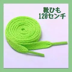 緑 靴紐 靴ひも 120cm 2本セット NIKE VANS adidas