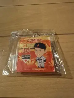 隅田知一郎 記念グッズ