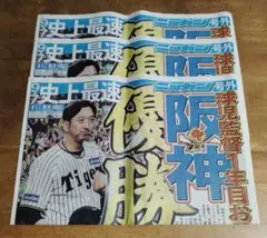 2025年最新】タイガースニッカの人気アイテム - メルカリ