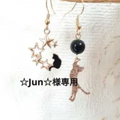 【☆Jun☆様専用】天然石と黒猫さんのアシンメトリーピアス　ネジバネ式イヤリング