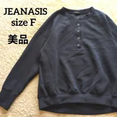 【美品】ジーナシス ダンボール ヘンリー プルオーバー ネイビー スウェット