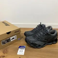 MIZUNO WAVEPROPHECY 28センチ 2025年最新】MIZUNo wave prophecy 28の人気アイテム - メルカリ