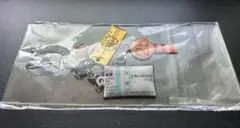 【レア】ディープインパクト 馬券キーホルダー