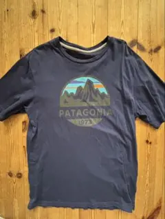 【最終値下げ】Patagonia ネイビー Tシャツ XS