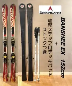 2025年最新】DYNASTAR 特徴：カービング 板の人気アイテム