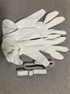 Item thumbnail for item c99acd46-3517-4fa4-85b6-f5ba1c8a40d0