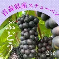 クランベリー様専用　3箱