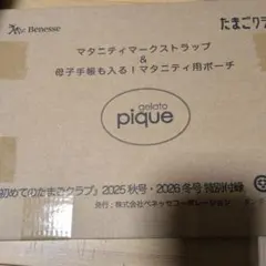 マタニティ 母子手帳用品