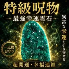 2026.5.28龍牙護守 ラブラドライト - メルカリ
