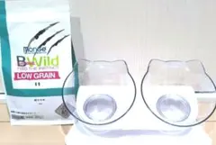 Item thumbnail for item 5a5bc124-fd41-403f-991d-20559d74d228