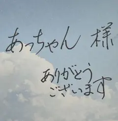 あっちゃん 様　専用