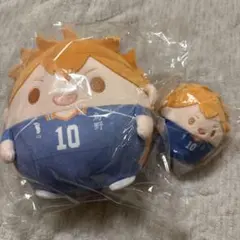 ハイキュー ぬいくじ C賞 D賞 日向翔陽