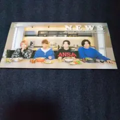 NEWS 会報