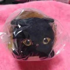 mofusand チョココロネにゃん ぬいぐるみ