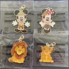 東京ディズニーランド　ジャングルカーニバル　チャーム